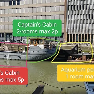 De Coaster & Aquarium Ponton , Rotterdam Niederlande